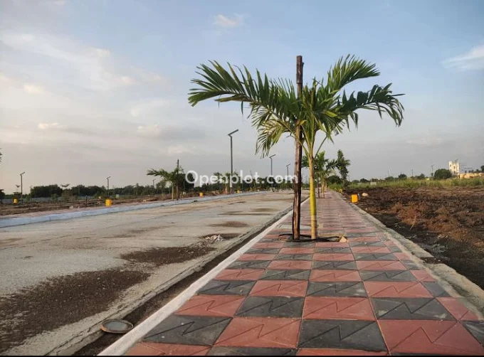 Plot for Sale in Kandi,Sangareddy